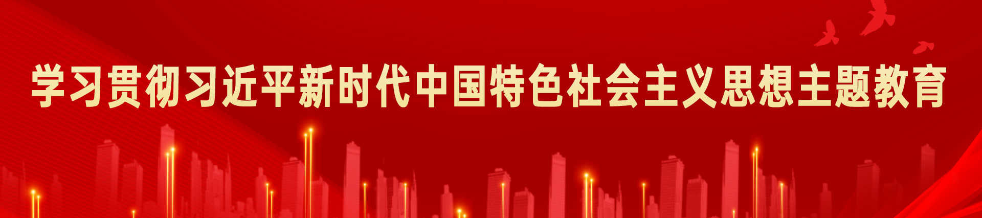学习贯彻习近平新时代中国特色社会主义思想主题教育